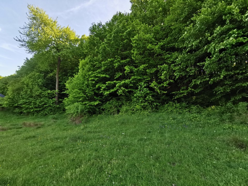 Oportunitate de Investiție - Teren de Basm in Bascov. DIRECT PROPRIETAR.
