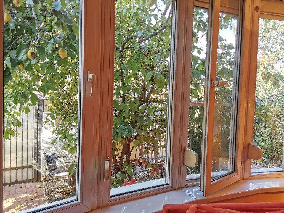 Casa Strada Muntii Carpati, 3 camere, curte proprie