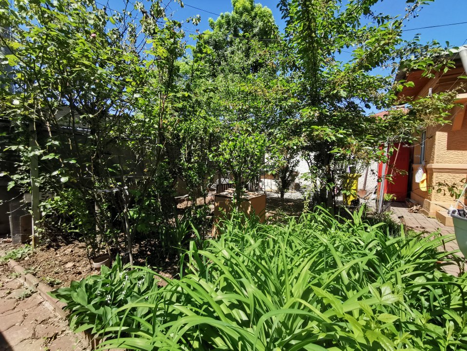 Casa Strada Muntii Carpati, 3 camere, curte proprie