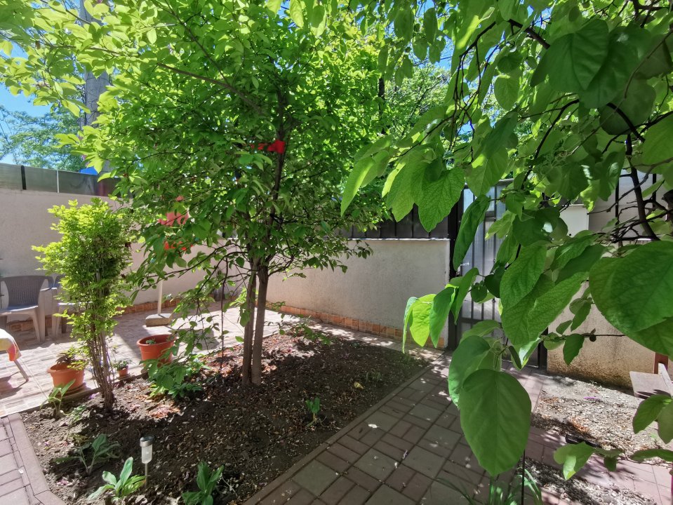 Casa Strada Muntii Carpati, 3 camere, curte proprie