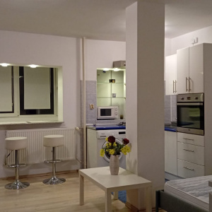 Garsoniera Titulescu - Banu Manta