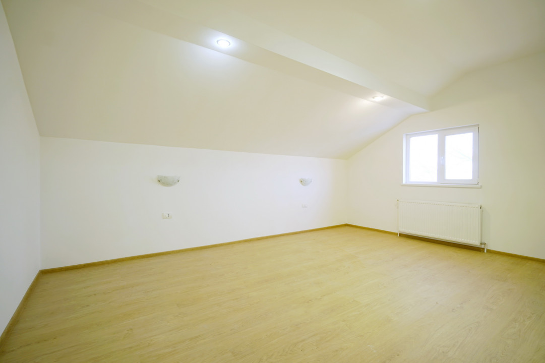 Vila 210 mp + Lot 6100 mp Crevedia