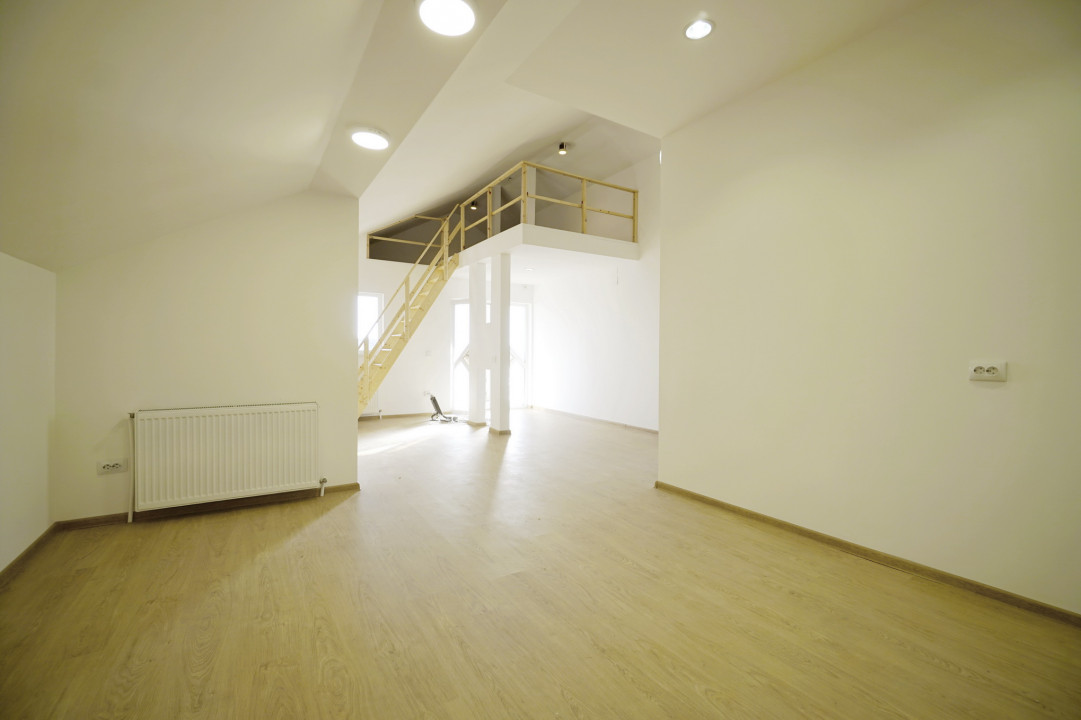 Vila 210 mp + Lot 6100 mp Crevedia