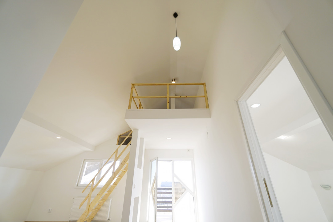 Vila 210 mp + Lot 6100 mp Crevedia