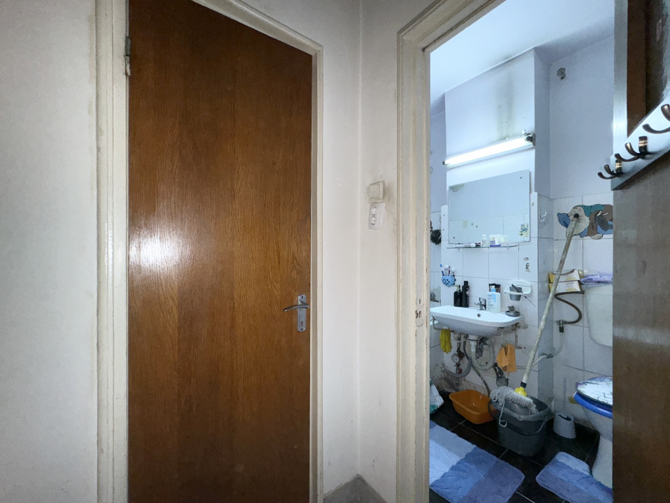 Apartament 3 camere Camil Ressu - cea mai verde vedere din cartier