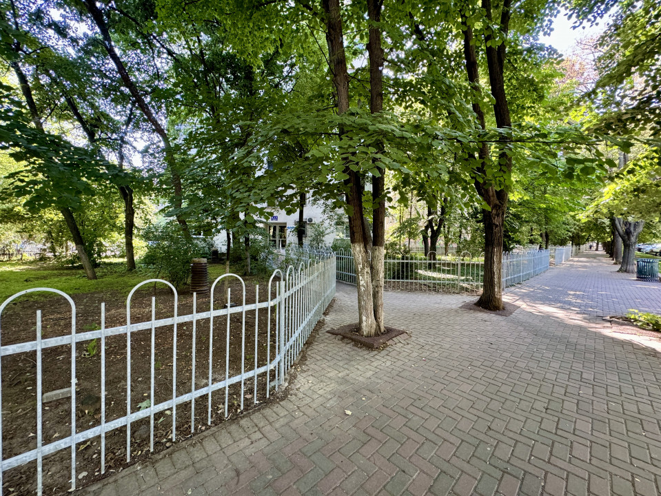 Apartament 3 camere Camil Ressu - cea mai verde vedere din cartier