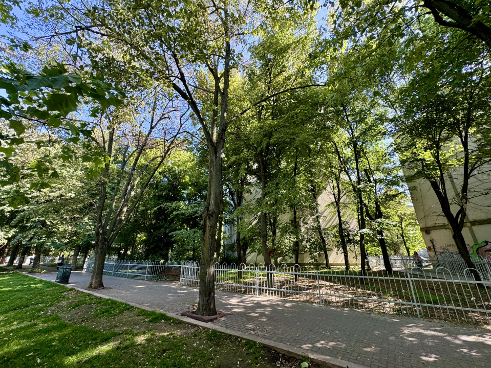 Apartament 3 camere Camil Ressu - cea mai verde vedere din cartier