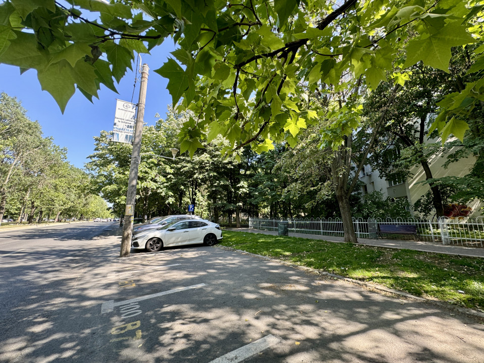 Apartament 3 camere Camil Ressu - cea mai verde vedere din cartier