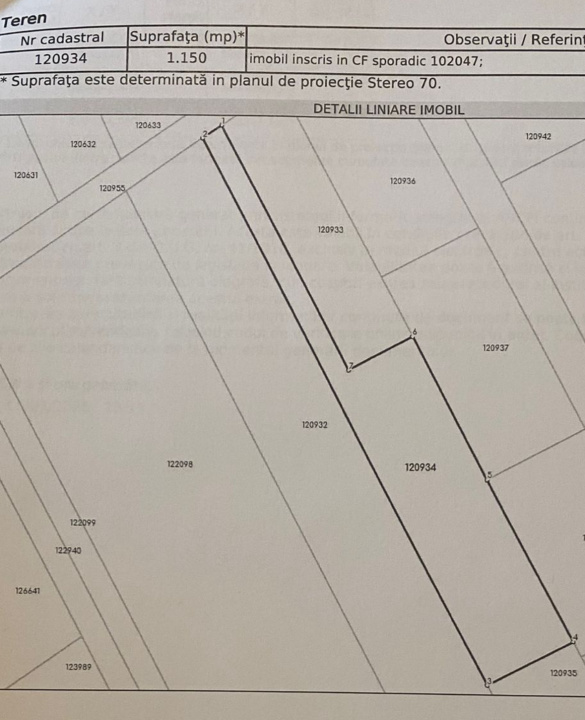 DOMNESTI-TEGHES, LOT 1.150 MP!