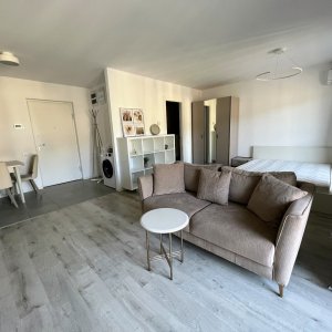 Studio in complex H Pipera Lake mobilat si utilat 