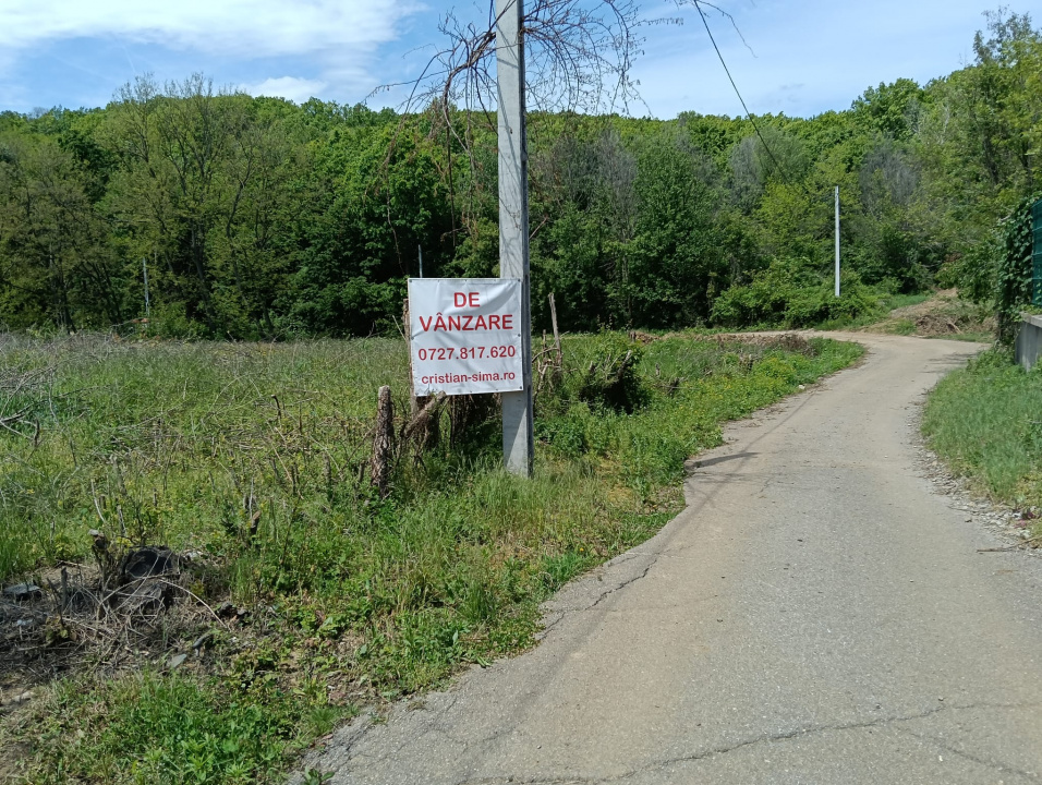 intravilan Tiparesti, relaxare aproape de padure