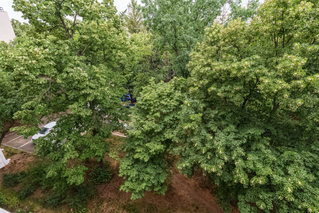 Apartament 2 camere decomandat Politehnica