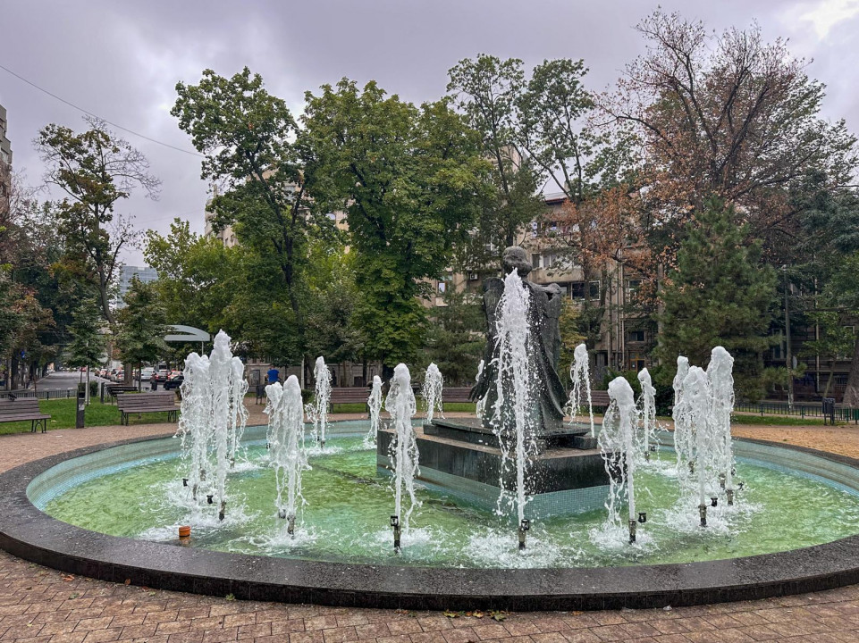 Piata Pache Protopescu, Centrala proprie