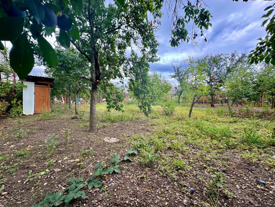 Teren 770mp | Hala 171mp | Baicoi | Stradal