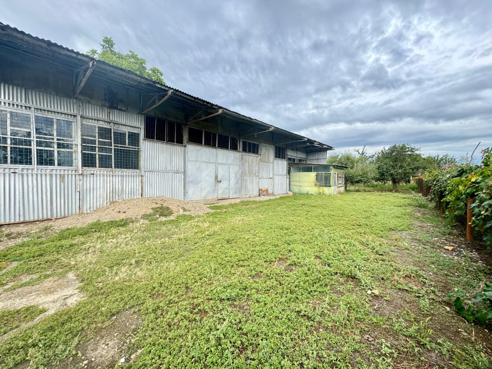 Teren 770mp | Hala 171mp | Baicoi | Stradal