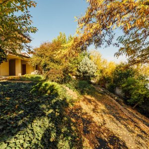 DOBROESTI - LAC, VILA 230 MPU, LOT 800 MP!