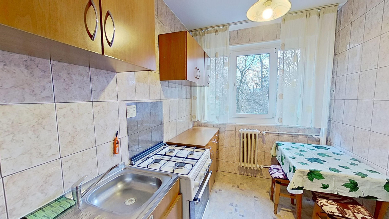 Camil Ressu 31 , Park Lake -apartament curator si luminos