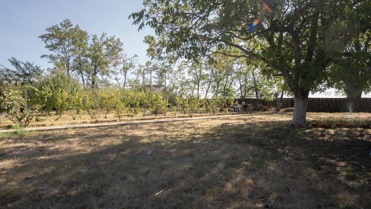 Casa langa balta Polcesti