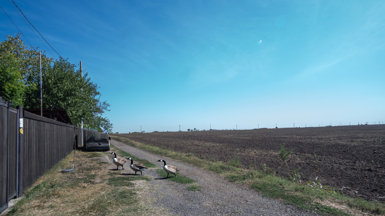 Casa langa balta Polcesti