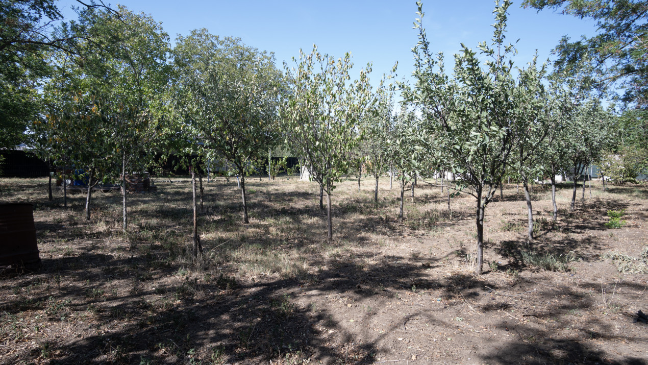 Casa langa balta Polcesti