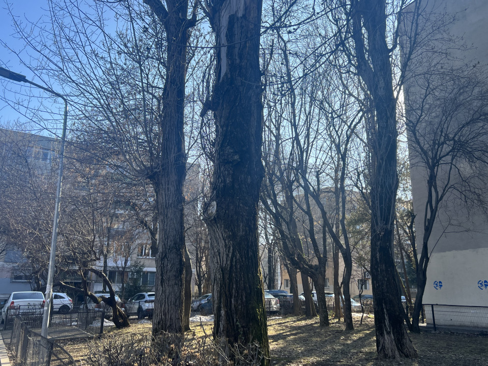 BRANCOVEANU Apartament 3 camere, localizare excelenta- DE RENOVAT