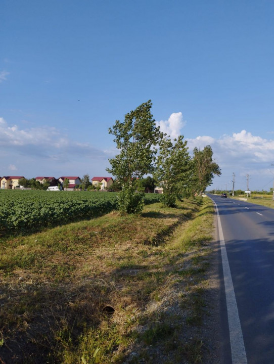 SE VINDE TEREN 5000 MP INTRAVILAN, MIXT CU DESCHIDERE LA DJ101 DE 42m 
