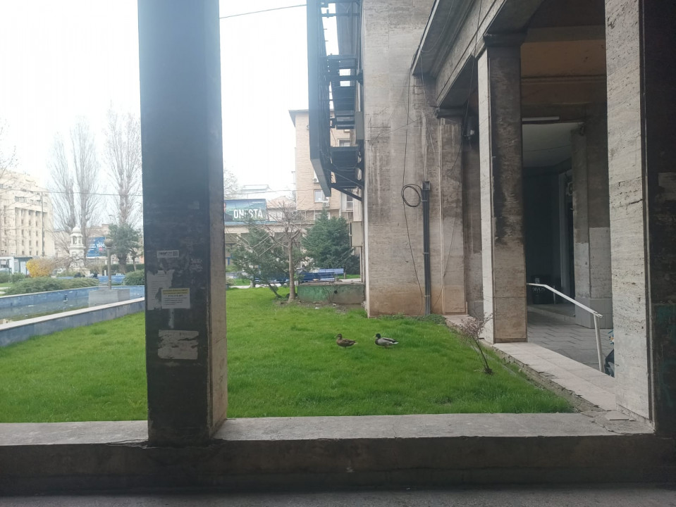 Apartament 3 camere ultracentral Piața Națiunile Unite, Curtea de Apel
