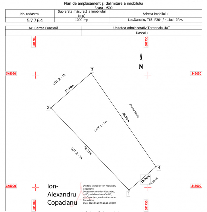 Lot 1000 mp Dascalu, Creata