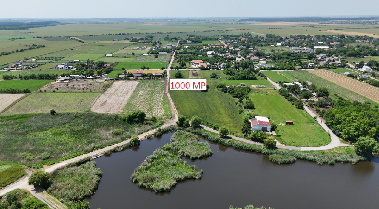 Lot 1000 mp Dascalu, Creata