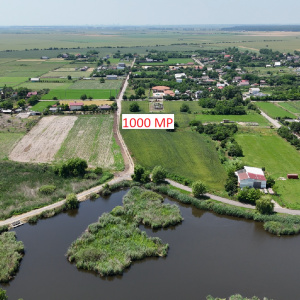 Lot 1000 mp Dascalu, Creata