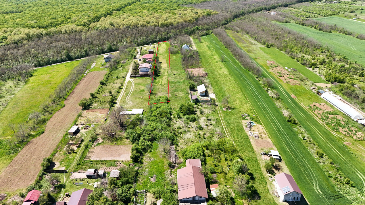 Lot 3600 mp Siliștea Snagovului