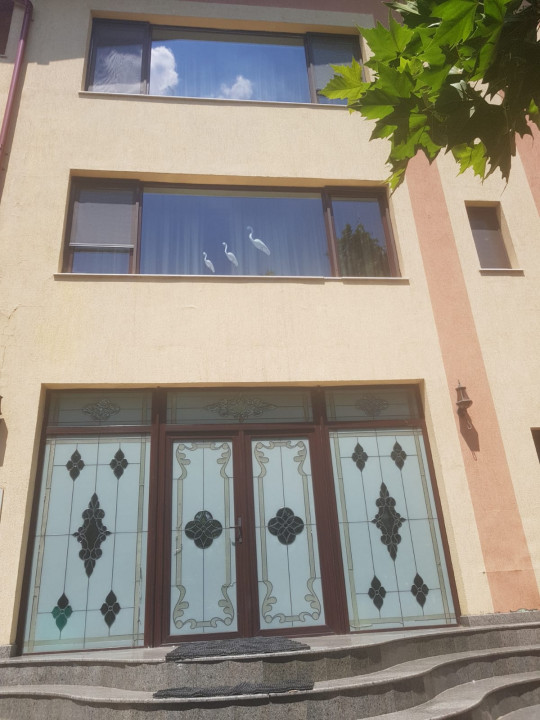 O Oază de Spațiu și Eleganță in zona de agrement Cernica