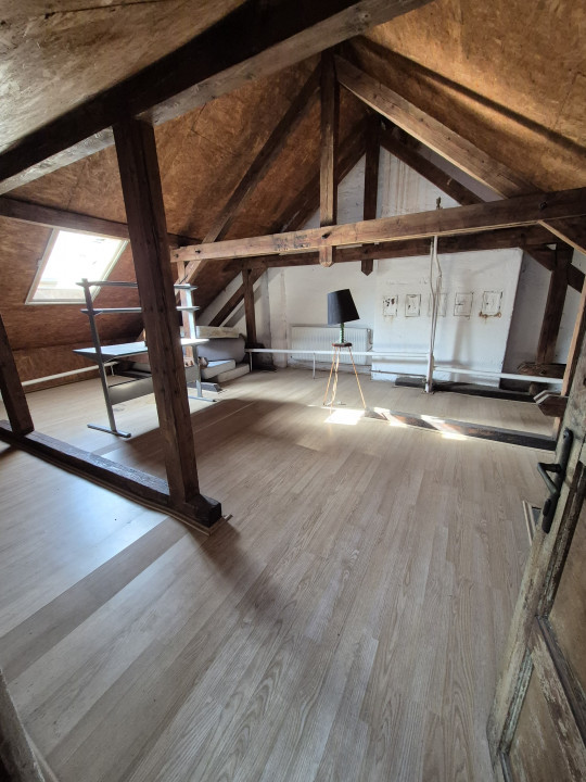 Casa , vila individuala zona Cotroceni, Parcul Romiceanu