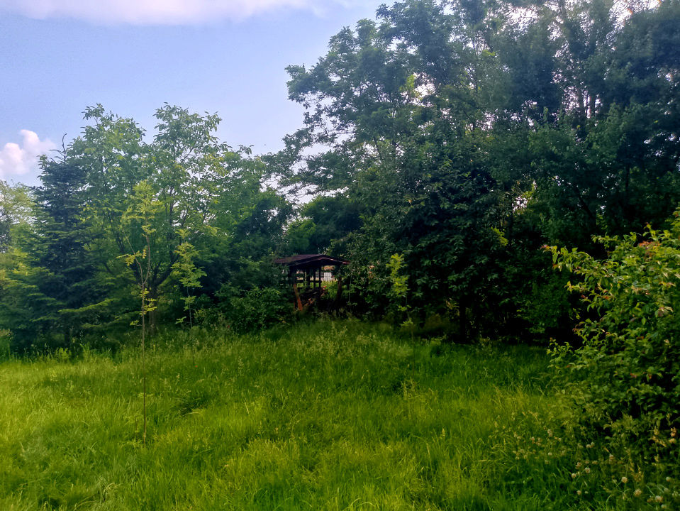 CORBEANCA_Vila cu dumbrava_Gradina