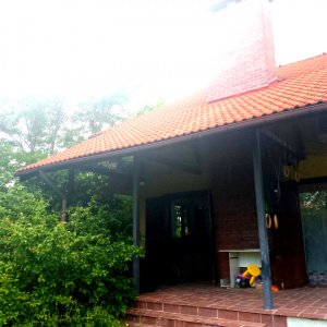 CORBEANCA_Vila cu dumbrava_Gradina