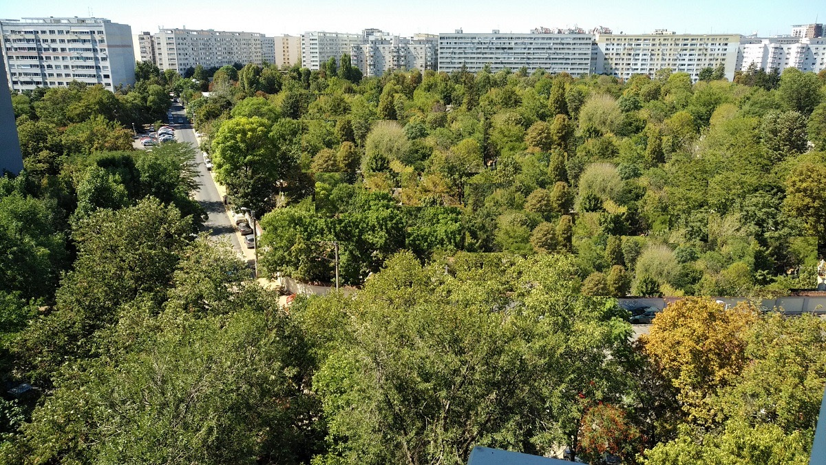 Apartament 3 camere Dristor