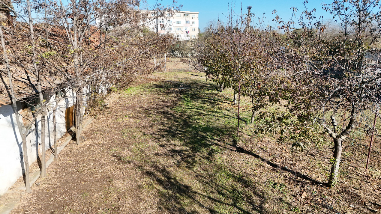 Casa 156mp | Teren 4464mp | 3 Hale | Buda | Proximitate DN 1 si Parc Industrial