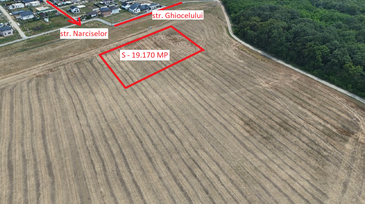 DASCALU Lot 19.170 MP