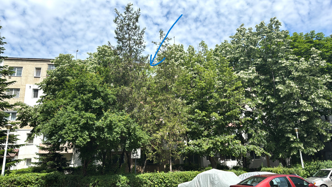 2 camere, langa spitalul judetean, etaj 4, mobilat si utilat