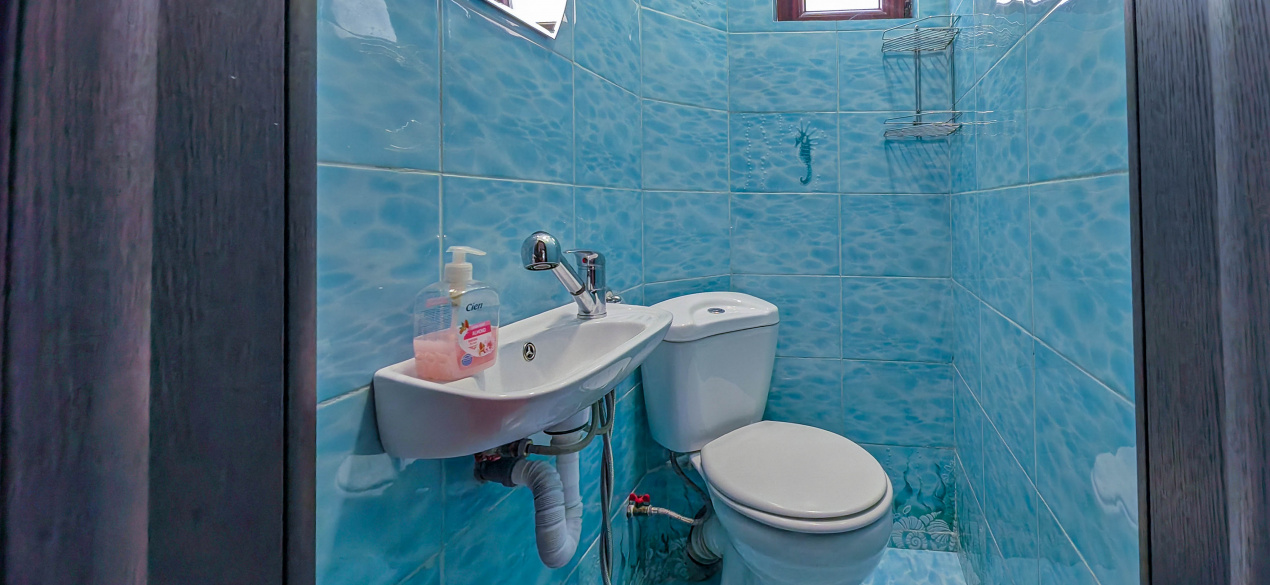 Zona Ferdinand apartament in vila