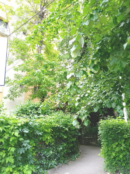 EXCLUSIVITATE_IANCULUI_Apartament 4 cam decomandat