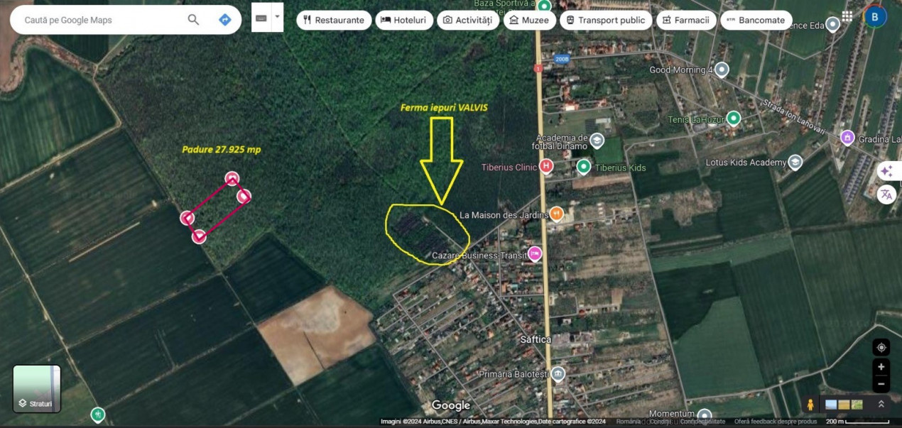 Padure 28.000mp - Saftica - 2e/mp - INVESTITIE - cel mai MIC pret