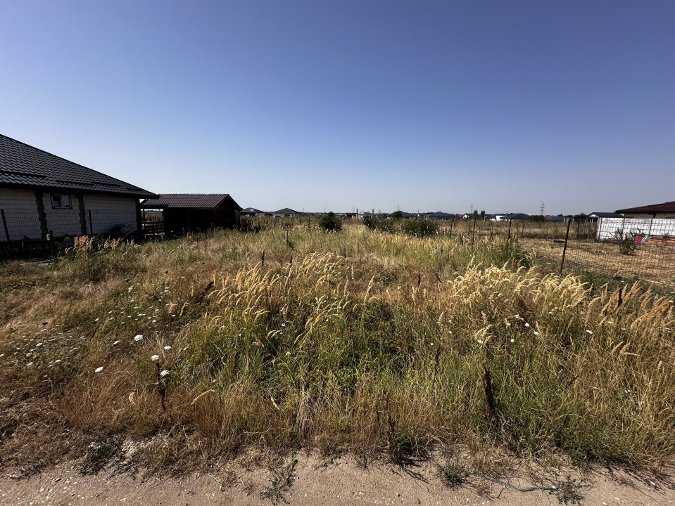 Teren de 330 mp în Comuna Berceni – Ideal pentru Casă sau Investiție!