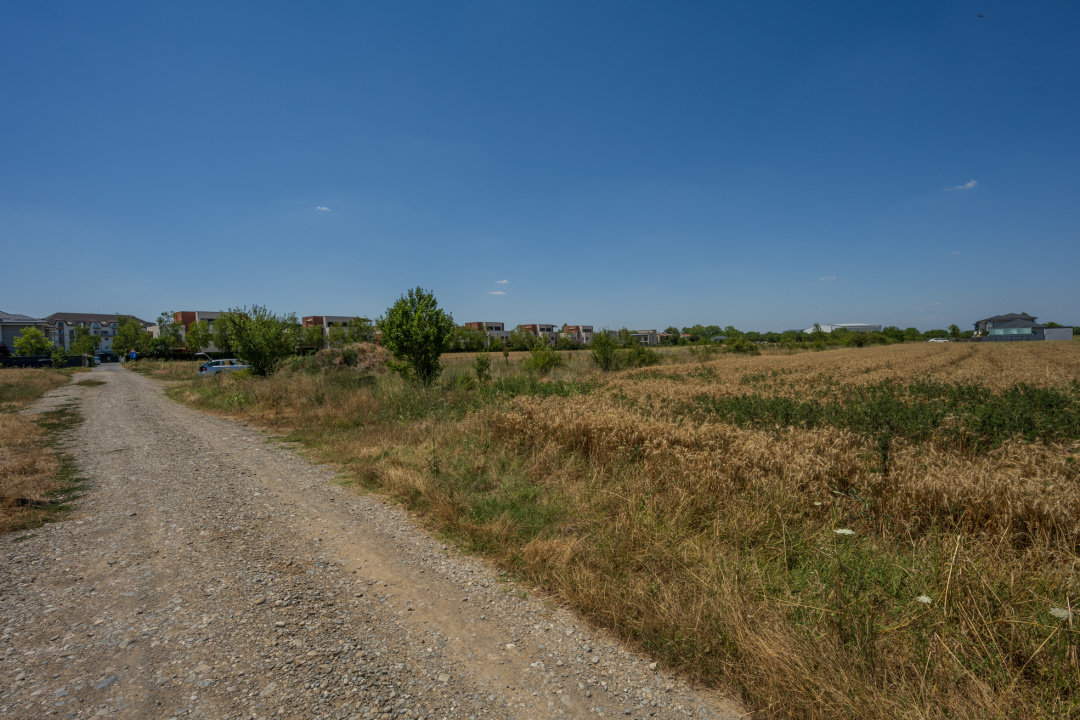 OTOPENI - CARPATILOR, TEREN 1371 MP!