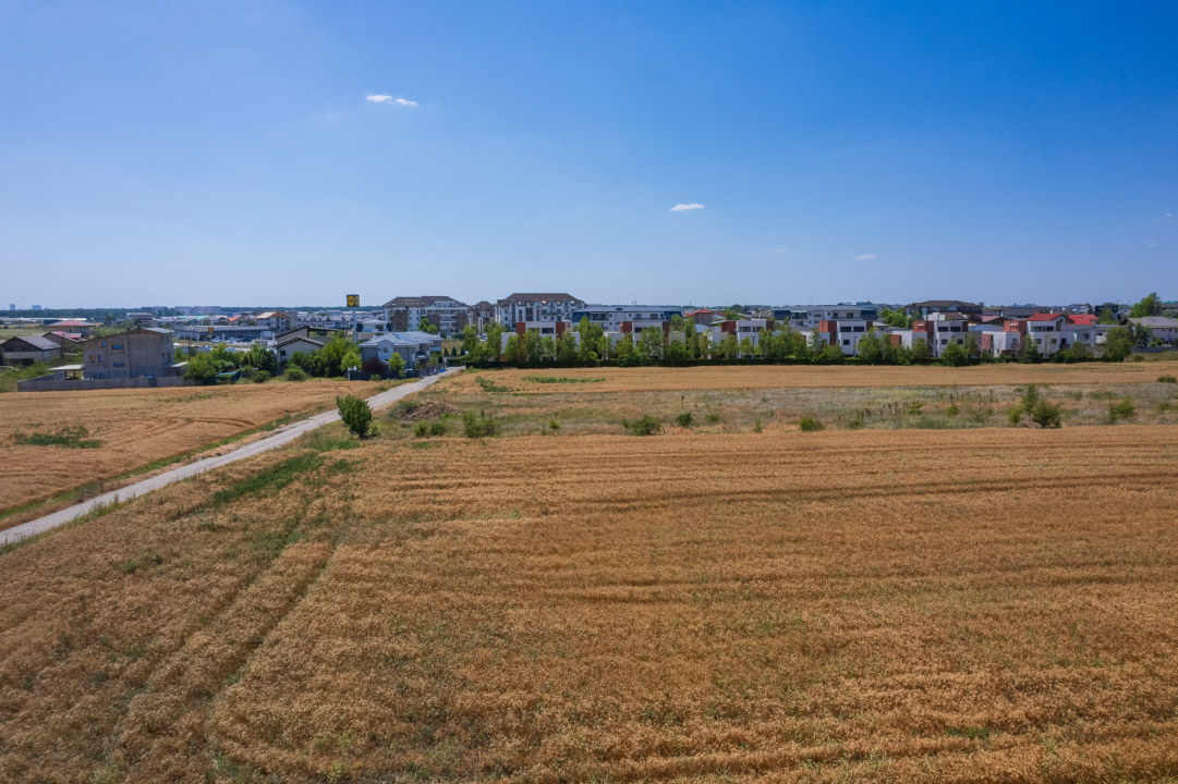 OTOPENI - CARPATILOR, TEREN 1371 MP!