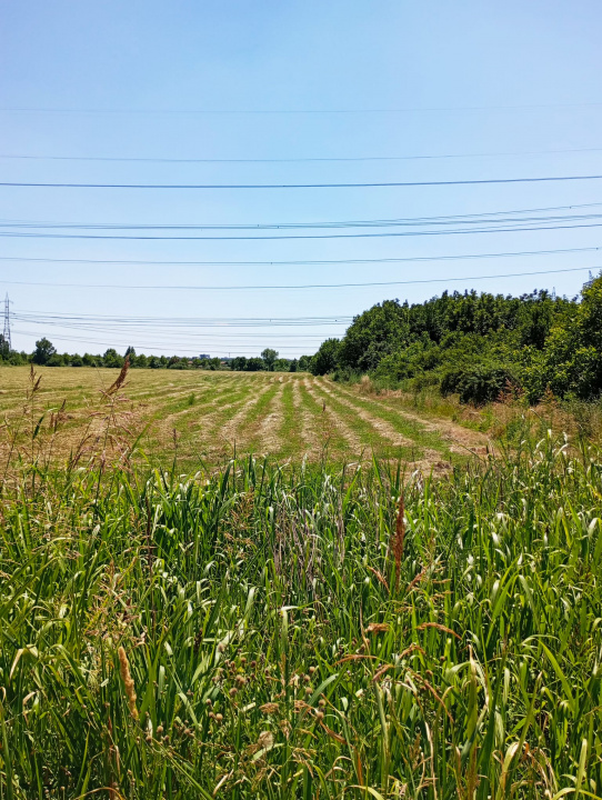 TEREN INTRAVILAN 8300 MP SECTOR 3 ZONA NICOLAE TECLU CEL MAI MIC PRET 431.600 Eu