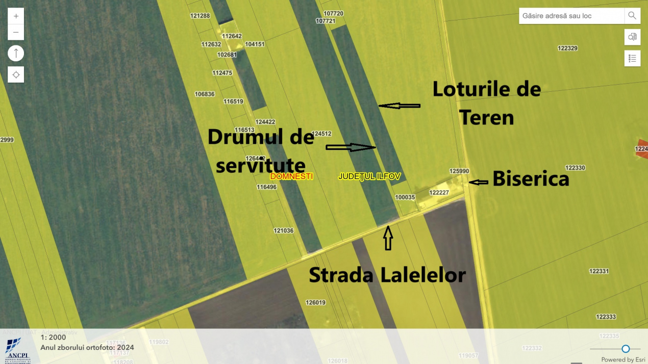 Domnesti teren intravilan