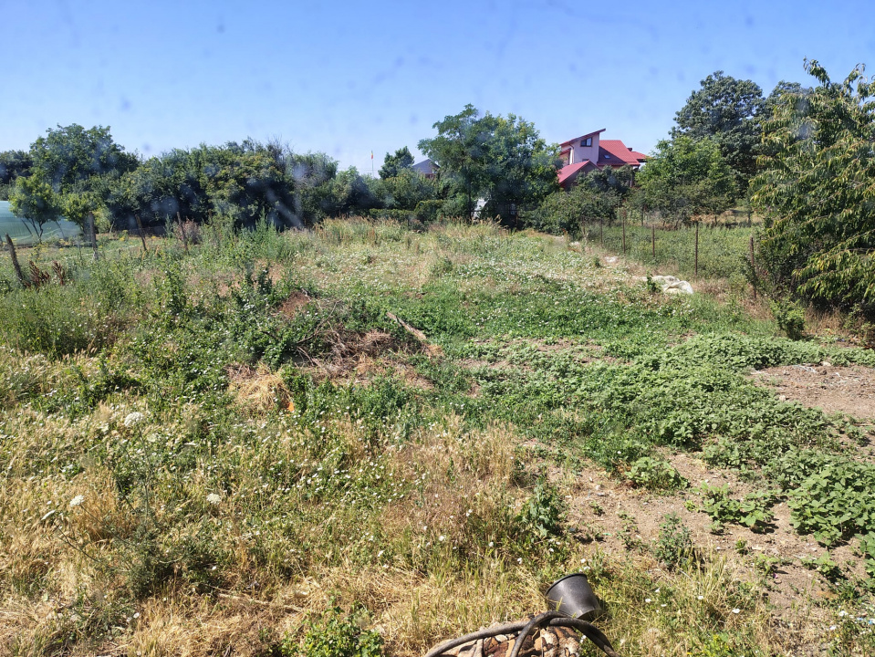 Casa in spatele Primariei Adunatii Copaceni - Giurgiu