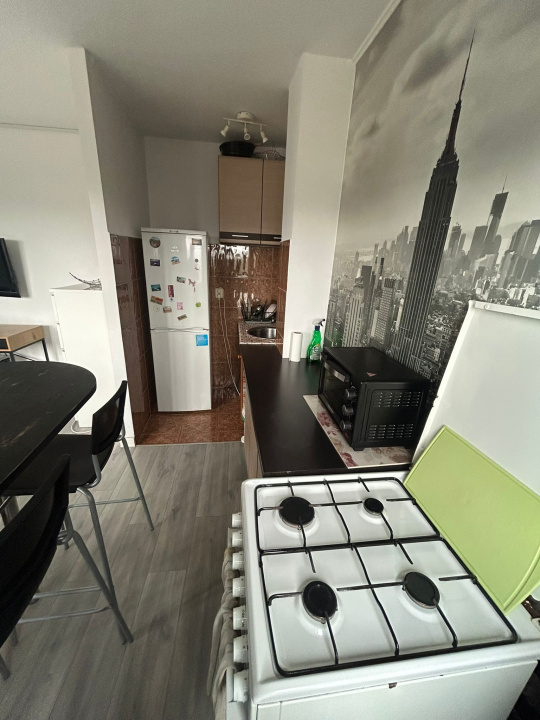 Garsoniera de inchiriat Timpuri noi - Tineretului