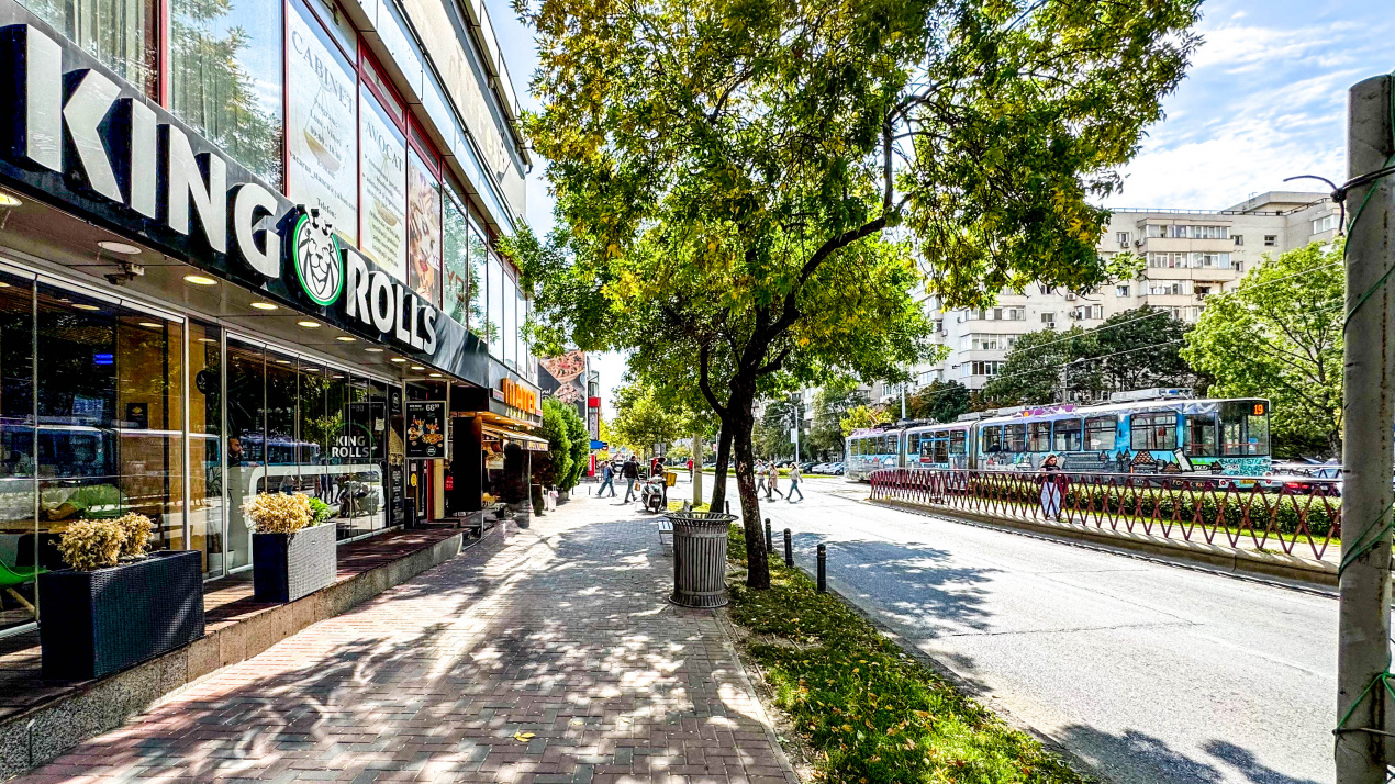 Spatiu comercial stradal | 45mp | Calea Vitan 19A | Vad bun | TVA 0